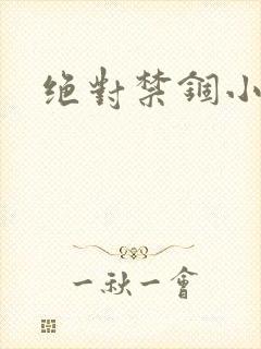 绝对禁锢小说