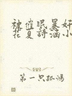 被催眠暴奸的校花夏诗涵小说