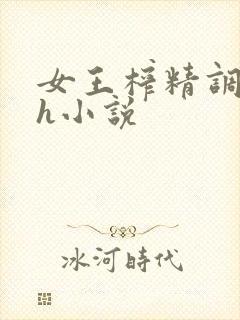 女王榨精调教高h小说封面