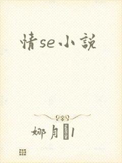 情se小说