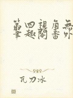 第四视角无防盗笔趣阁番外