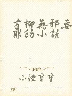有柳无邪吞天神鼎的小说