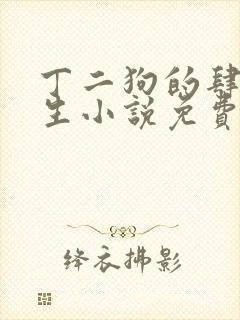 丁二狗的肆意人生小说免费阅读封面