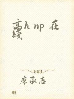 高h np 在线