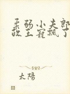柔弱小夫郎被摄政王宠飘了小说