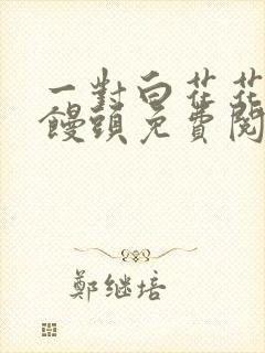 一对白花花的大馒头免费阅读封面