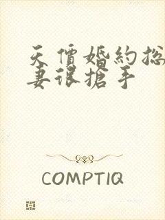 天价婚约总裁前妻很抢手