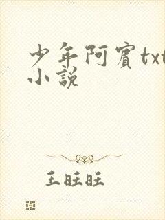少年阿宾txt小说
