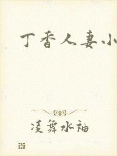 丁香人妻小说封面