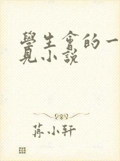学生会的一己之见小说