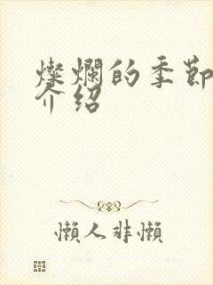 灿烂的季节剧情介绍封面