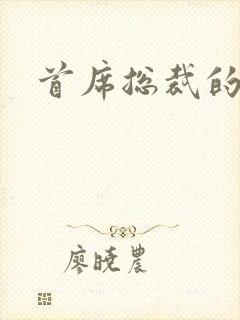 首席总裁的逃妻