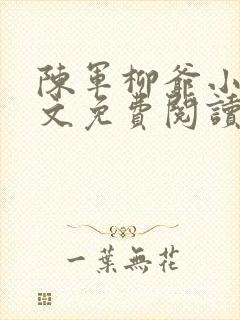 陈军柳爷小说全文免费阅读最新章节封面