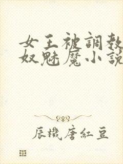女王被调教成奶奴魅魔小说封面