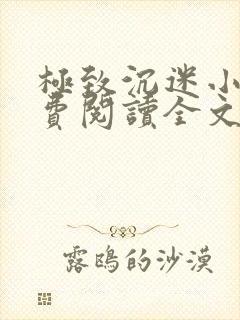 极致沉迷小说免费阅读全文