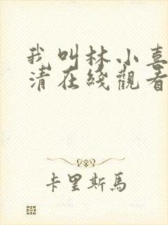 我叫林小喜的高清在线观看