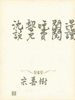 沈黎晚闻璟川小说免费阅读最新章节