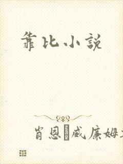 靠比小说