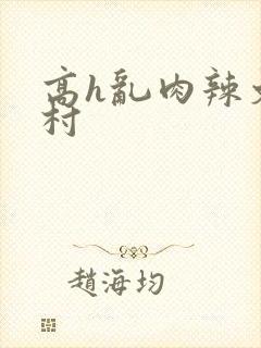 高h乱肉辣文乡村