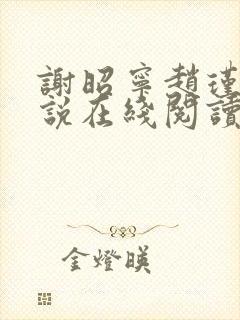 谢昭宁赵瑾的小说在线阅读封面