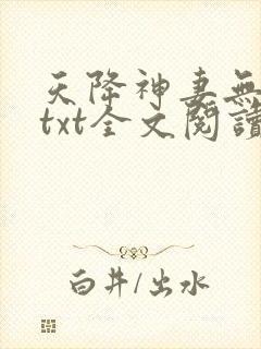 天降神妻无删减txt全文阅读下载