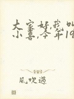 大家好,我叫林小喜,今年19岁小说