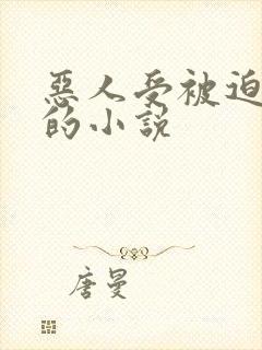 恶人受被迫生子的小说