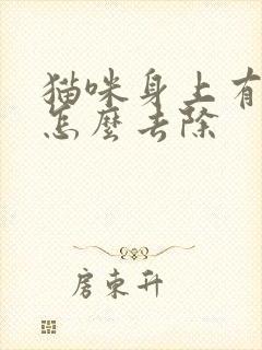 猫咪身上有跳蚤怎么去除封面