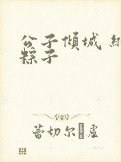 公子倾城 维和粽子