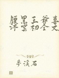 腹黑王爷喜当爹沐云初全文免费阅读