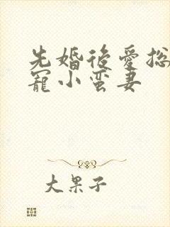 先婚后爱总裁娇宠小蛮妻