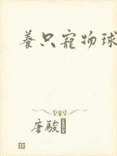 养只宠物球