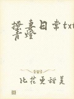 撩妻日常txt青灯