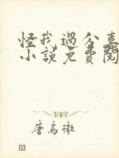 怪我过分喜欢你小说免费阅读