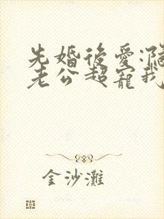 先婚后爱:隐婚老公超宠我