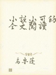 小说小可的奶水全文阅读