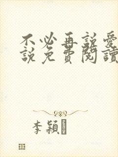 不必再说爱我小说免费阅读无弹窗