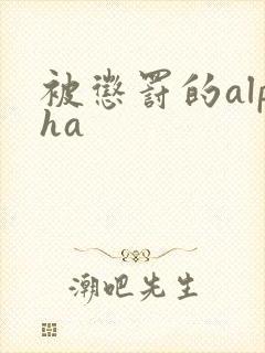 被惩罚的alpha