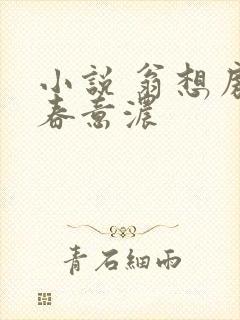 小说 翁想房中春意浓封面