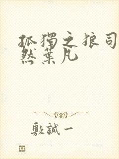 孤独之狼司空嫣然叶凡封面