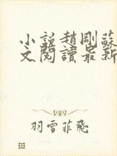 小说赵刚苏柔全文阅读最新章节封面