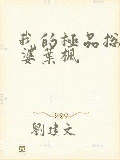 我的极品总裁老婆叶枫