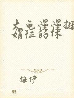 大龟慢慢挺进张娟征的休封面
