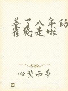 养了八年的金丝雀飞走啦