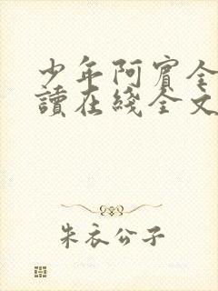 少年阿宾全文阅读在线全文阅读封面