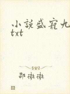 小说盛宠九皇妃txt