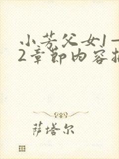 小芳父女1—12章节内容摘要