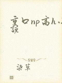 重口np高h小说
