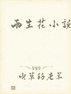 两生花小说