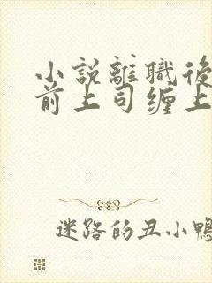 小说离职后我被前上司缠上了在线阅读